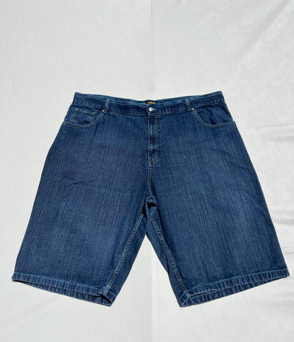 Y2K Evolution Jorts